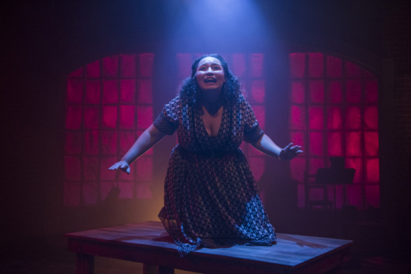 Photo Flash: Undercore Theatre & The Den Theatre Present HAYMARKET Image
