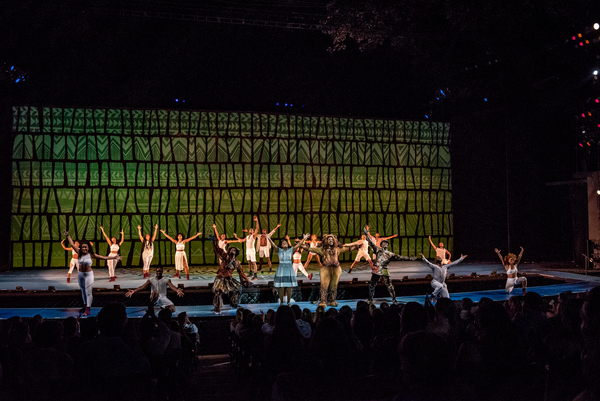 Photo Flash: On the Yellow Brick Road with The Muny's THE WIZ Image