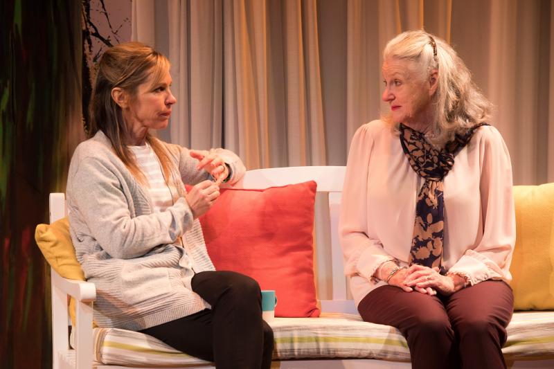 Review: MARJORIE PRIME Gives A Glimpse Into A Not Too Distant Future Of Cyber Companions And Coping With Loss. Image