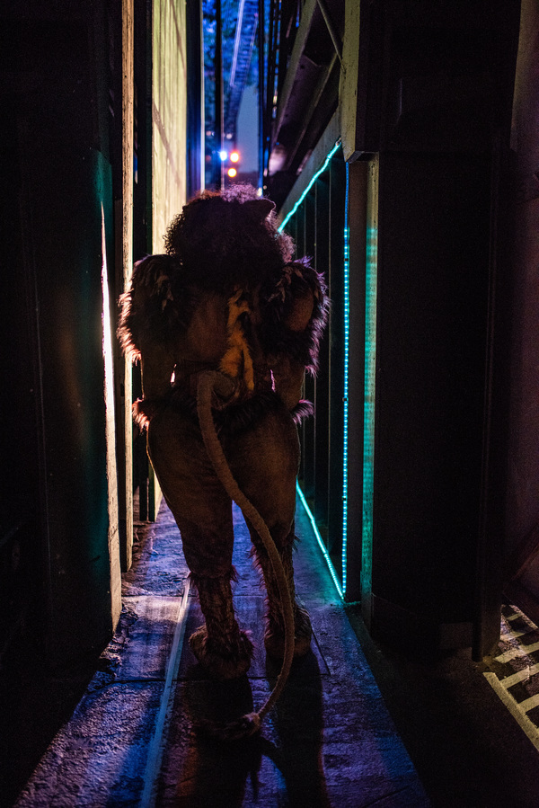 Photo Flash: Go Backstage With the Cast of The Muny's THE WIZ Image