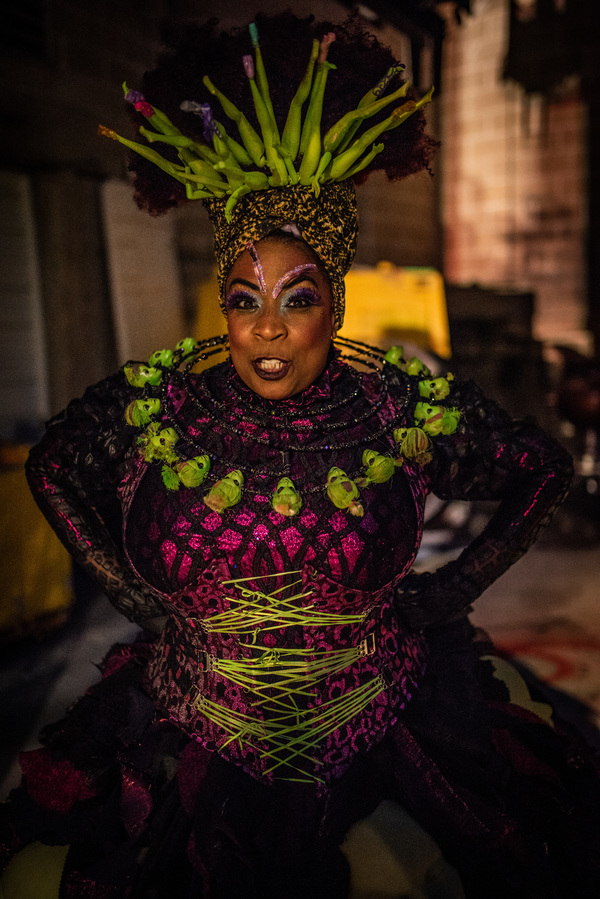 Photo Flash: Go Backstage With the Cast of The Muny's THE WIZ Image