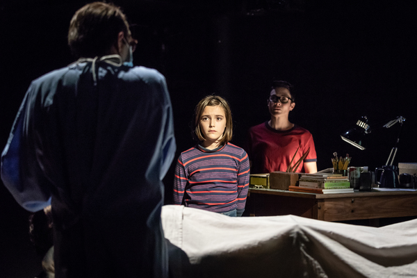 Photo Flash: First Look at the Young Vic's FUN HOME Image