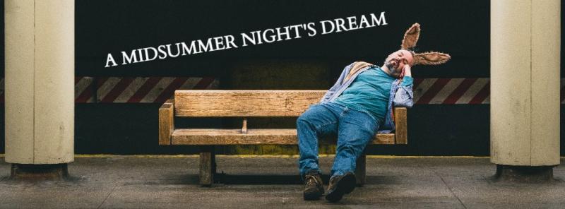 BWW Exclusive: Exploring the Best of New York's Free, Outdoor Summer Shakespeare Image