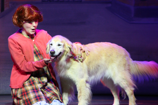 Photo Flash: ANNIE Shines At Broadway Palm Image