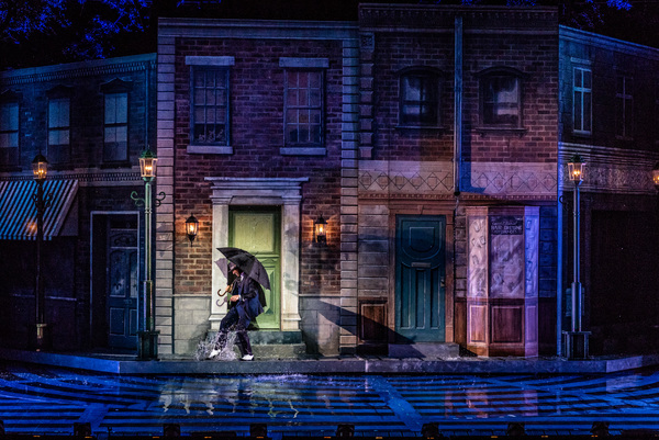 Photo Flash: What a Glorious Feeling! First Look at the Muny's SINGIN' IN THE RAIN Image