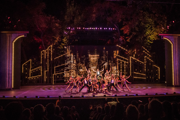 Photo Flash: What a Glorious Feeling! First Look at the Muny's SINGIN' IN THE RAIN Image