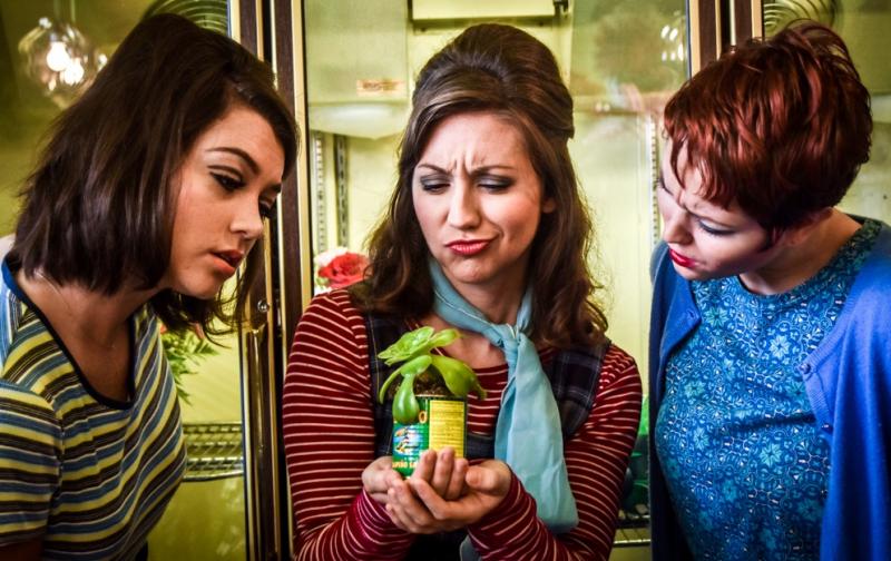 Review: LITTLE SHOP OF HORRORS at Wimberley Playhouse 