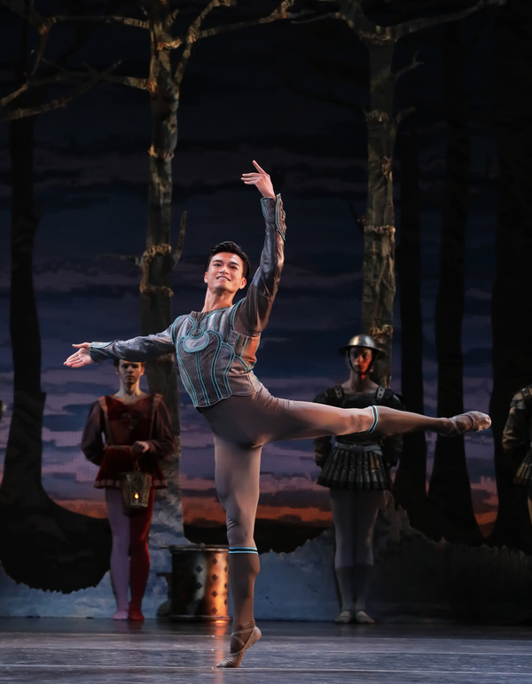 VIDEO: SWAN LAKE Comes To Houston Ballet Image
