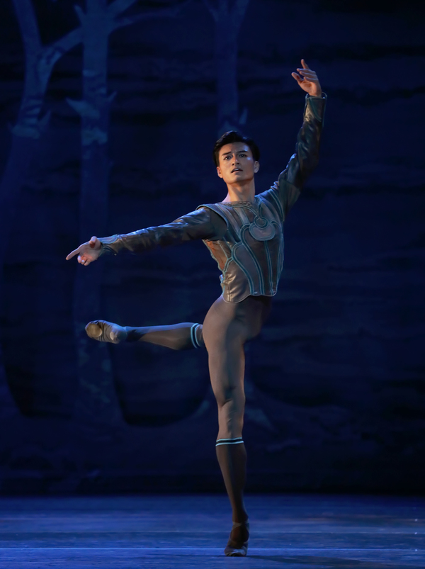 VIDEO: SWAN LAKE Comes To Houston Ballet Image