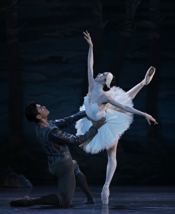 VIDEO: SWAN LAKE Comes To Houston Ballet Image