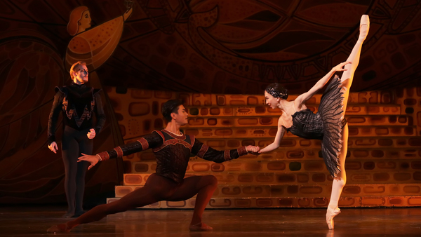 VIDEO: SWAN LAKE Comes To Houston Ballet Image