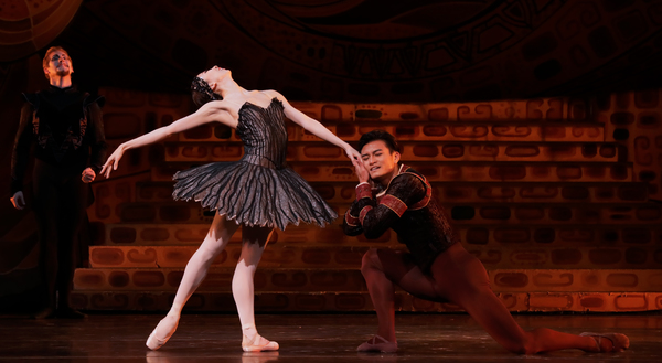 VIDEO: SWAN LAKE Comes To Houston Ballet Image