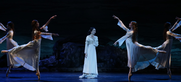 VIDEO: SWAN LAKE Comes To Houston Ballet Image