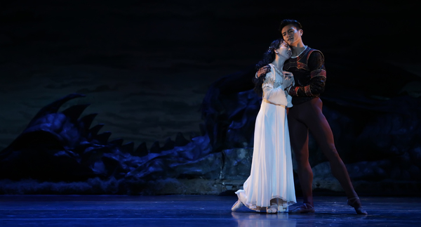 Houston Ballet Principals Yuriko Kajiya as Odette and Chun Wai Chan as Siegfried in S Photo