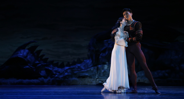 VIDEO: SWAN LAKE Comes To Houston Ballet Image