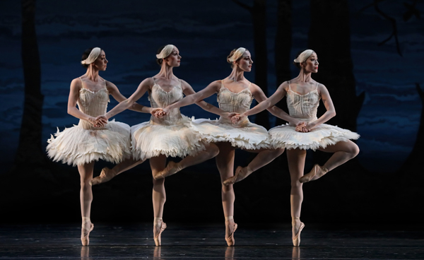VIDEO: SWAN LAKE Comes To Houston Ballet Image