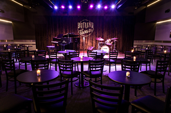 Photo Flash: Birdland Renovates New Performance Space: The Birdland Theater Image