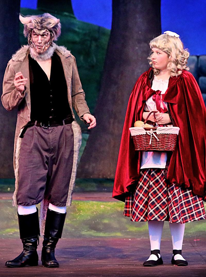 Review: INTO THE WOODS at Theatre In The Park Image
