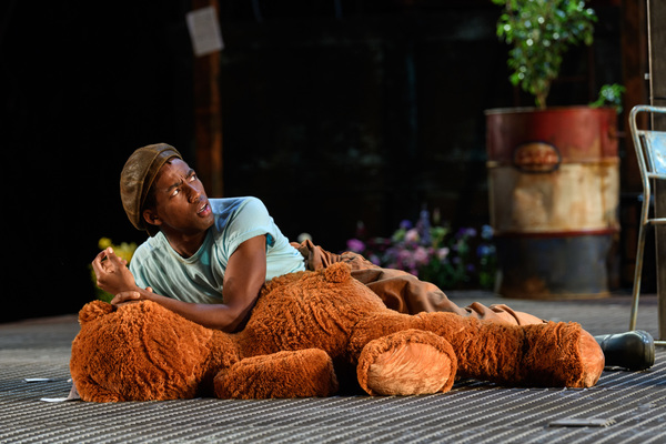 Photo Flash: First Look at Regent's Park Open Air Theatre's AS YOU LIKE IT Image