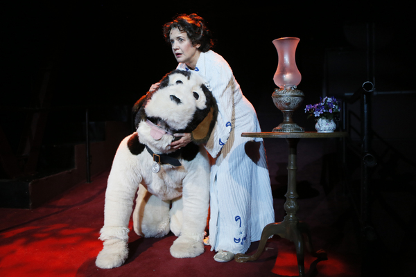 Photo Flash: North Shore Music Theatre Presents PETER PAN Image