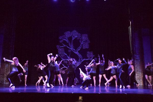 Photo Coverage: First look at New Vision Dance Co.'s BRANCHING OUT Image