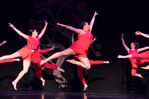 Photo Coverage: First look at New Vision Dance Co.'s BRANCHING OUT Image