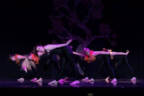 Photo Coverage: First look at New Vision Dance Co.'s BRANCHING OUT Image