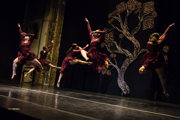 Photo Coverage: First look at New Vision Dance Co.'s BRANCHING OUT Image