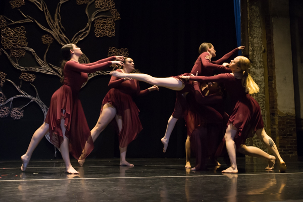 Photo Coverage: First look at New Vision Dance Co.'s BRANCHING OUT Image