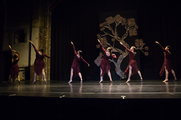 Photo Coverage: First look at New Vision Dance Co.'s BRANCHING OUT Image