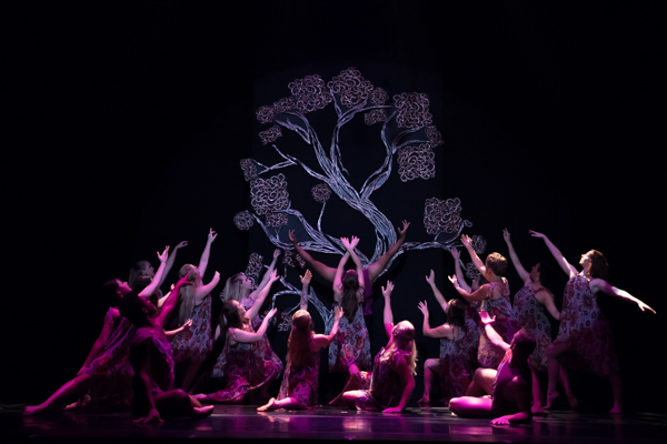 Photo Coverage: First look at New Vision Dance Co.'s BRANCHING OUT Image