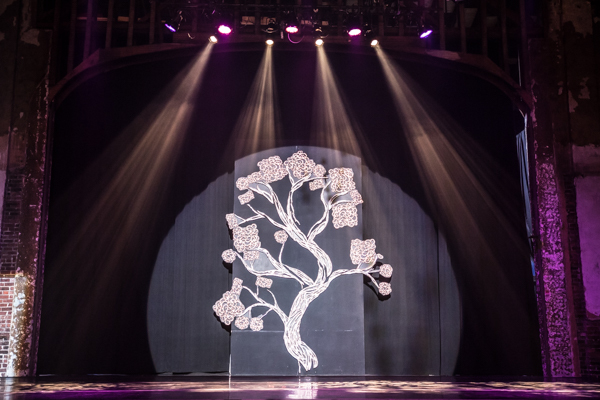 Photo Coverage: First look at New Vision Dance Co.'s BRANCHING OUT Image