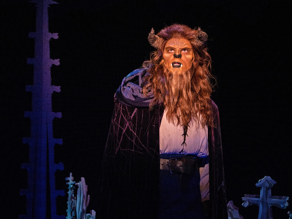 Photo Flash: BEAUTY AND THE BEAST Comes to ZACH Theatre Image