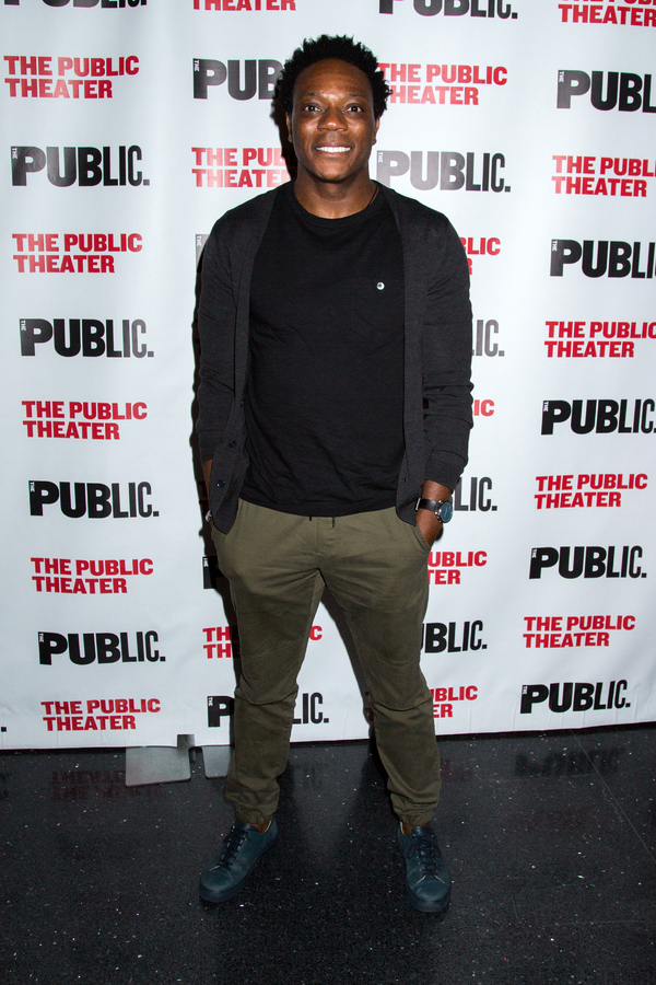 Photo Coverage: Public Theater Celebrates Opening Night of FIRE IN DREAMLAND Image