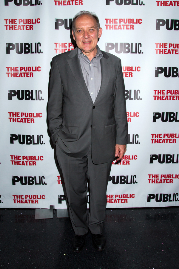 Photo Coverage: Public Theater Celebrates Opening Night of FIRE IN DREAMLAND Image
