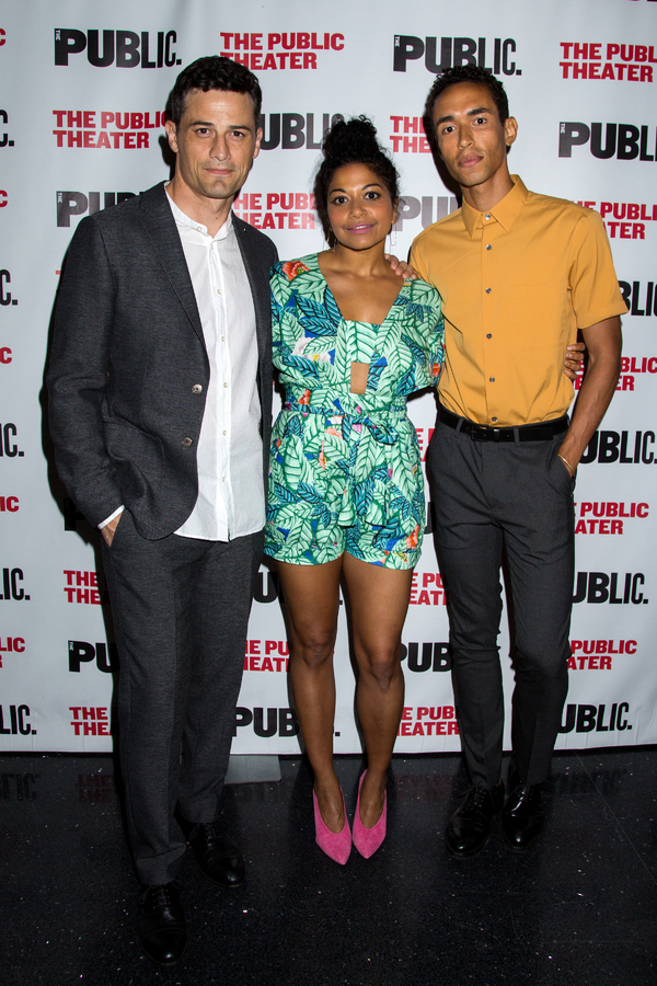Photo Coverage: Public Theater Celebrates Opening Night of FIRE IN DREAMLAND Image