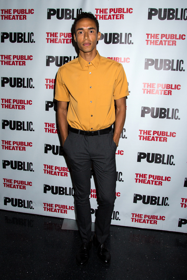Photo Coverage: Public Theater Celebrates Opening Night of FIRE IN DREAMLAND Image