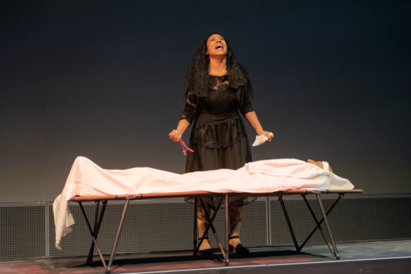 Photo Flash: African-American Shakespeare Company Presents RICHARD III Image
