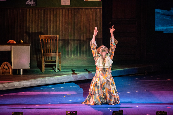 Photo Flash: Christopher Sieber, Jennifer Simard, and More Star in ANNIE at The Muny Image