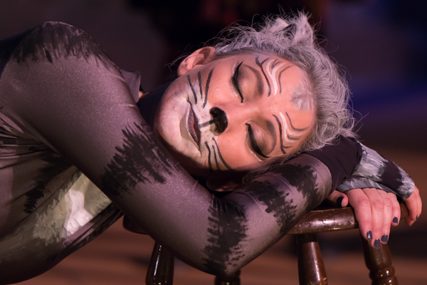 Photo Coverage: First Look at Actor's Theatre of Columbus' PUSS IN BOOTS Image
