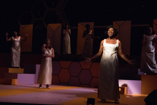 Photo Flash: Metropolis Performing Arts Centre Presents BEEHIVE: THE 60'S MUSICAL Image