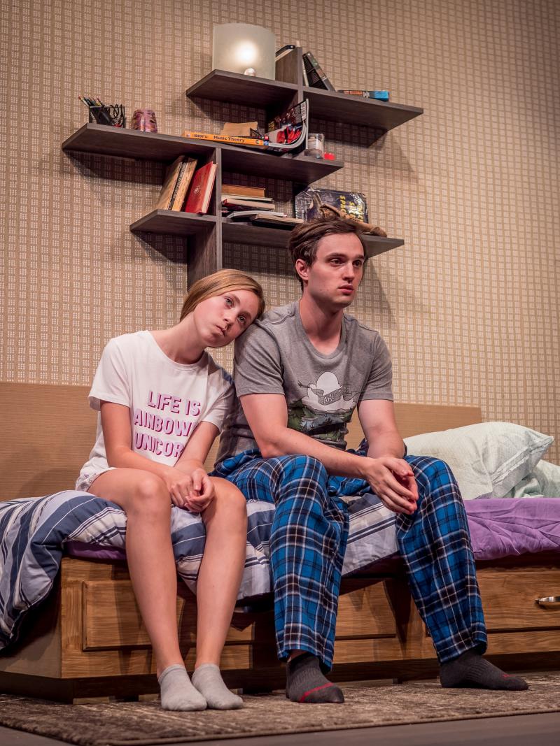 Review: LINGER at Premiere Stages is a Gripping Family Drama that Addresses Current Issues  Image