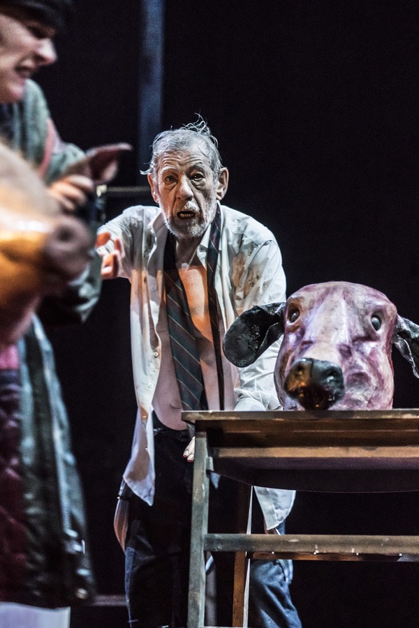 Photo Flash: First Look at All New Photos of Ian McKellen in KING LEAR Image