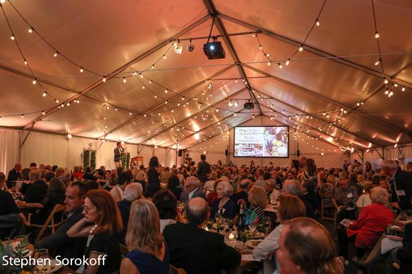 Photo Coverage: Laura Benanti Headlines Barrington Stage's 2018 Gala Image