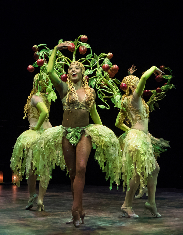 Photo Flash: Carolee Carmello Stars as Mama Rose in GYPSY at Broadway at Music Circus Image