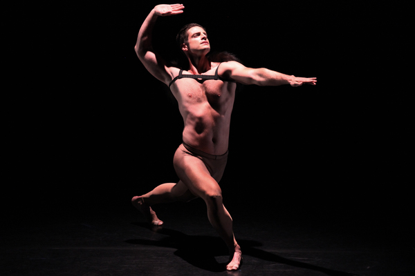 Review: DANCERS FOR GOOD BENEFIT FOR THE ACTORS FUND at Guild Hall East Hampton  Image