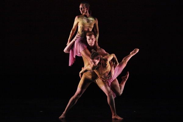 Review: DANCERS FOR GOOD BENEFIT FOR THE ACTORS FUND at Guild Hall East Hampton Image