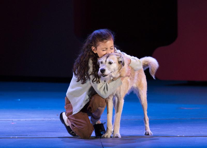 Review: Salonga, Grier, Hilty, Bart & Company Lead Charming Arden-directed ANNIE at the Hollywood Bowl  Image