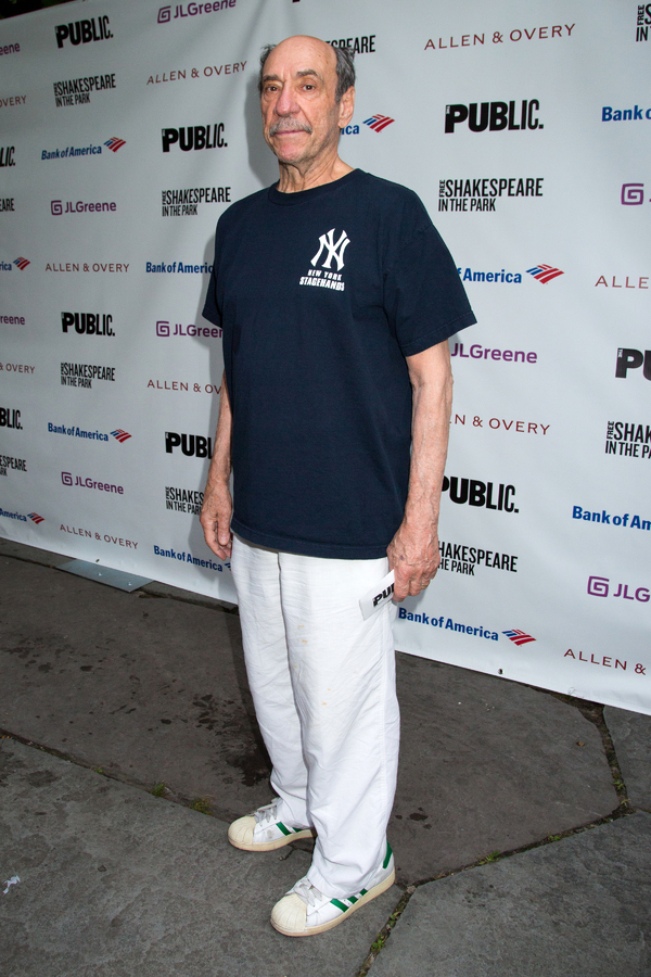 Photo Coverage: On the Red Carpet for Opening Night of TWELFTH NIGHT in the Park! Image