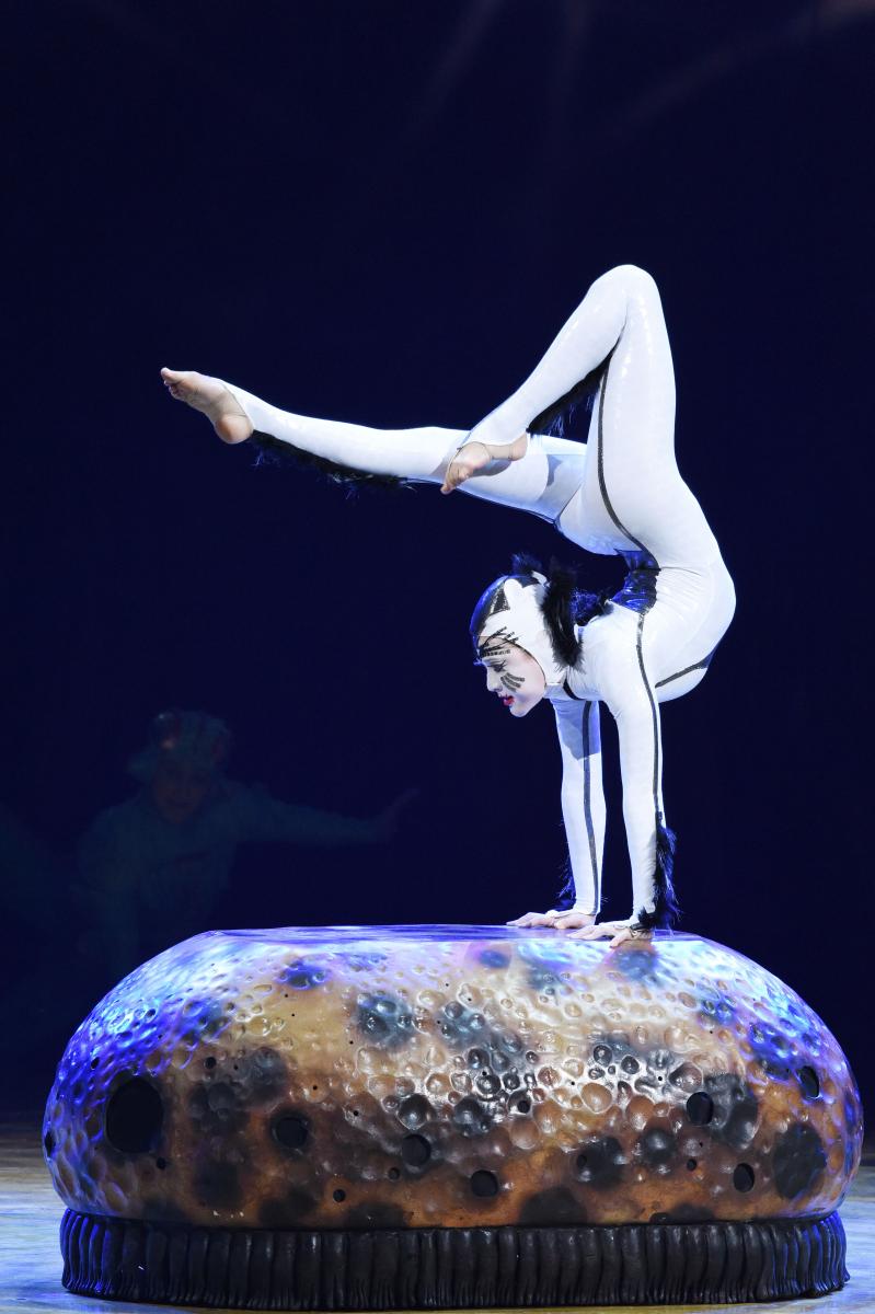 Interview: Alanna Baker Talks Cirque du Soleil's OVO Image